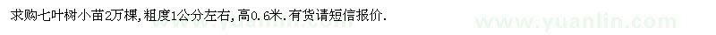 求購七葉樹小苗
