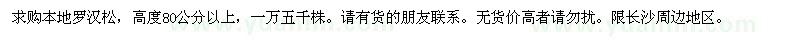 求購高80cm以上的羅漢松