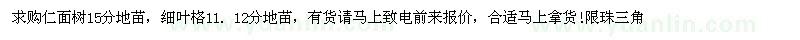 求購仁面樹15分地苗 細葉格11. 12分地苗