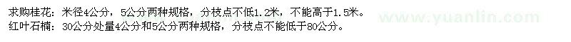 求購桂花,紅葉石楠