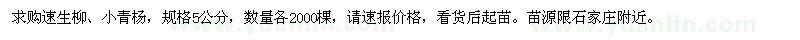 求購速生柳,小青楊