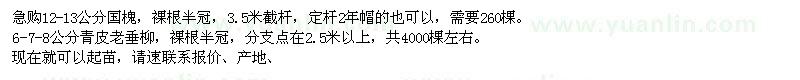 求購12-13公分國(guó)槐,6-7-8公分青皮老垂柳