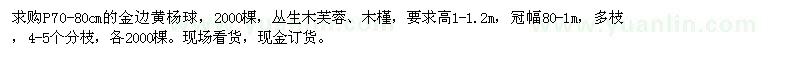 求購金邊黃楊球,叢生木芙蓉,木槿