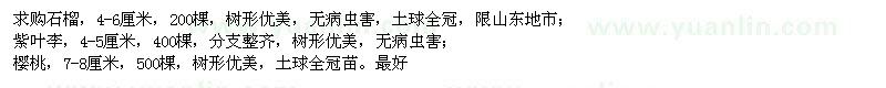 求購石榴,紫葉李,櫻桃