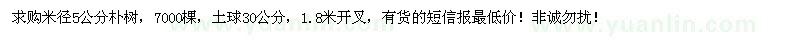 求購米徑5公分樸樹