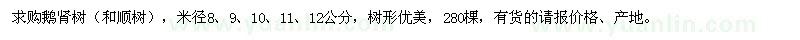求購米徑8,9,10,11,12公分的鵝腎樹（和順樹