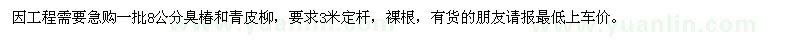 求購(gòu)8公分臭椿和青皮柳