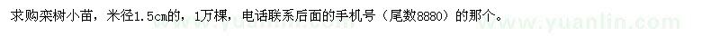 求購欒樹小苗