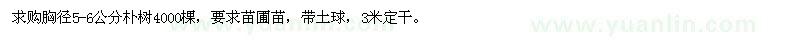 求購樸樹