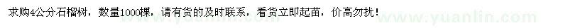求購4公分石榴樹1000棵