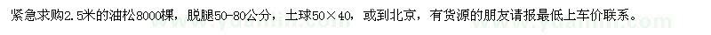 求購(gòu)2.5米的油松8000棵