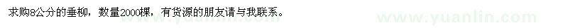 求購8公分的垂柳