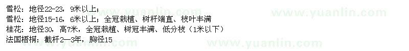 求購桂花,雪松,法國梧桐
