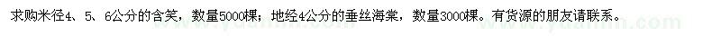 求購含笑