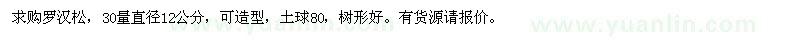 求購直徑12公分的羅漢松