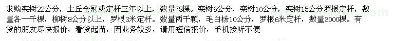 求購欒樹，柳樹，毛白楊