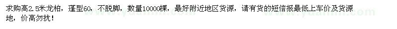 求購高2.5米龍柏1萬棵