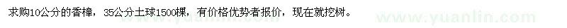 求購香樟10公分