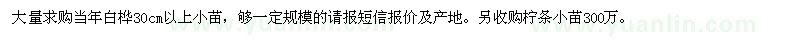 求購(gòu)白樺小苗、檸條小苗