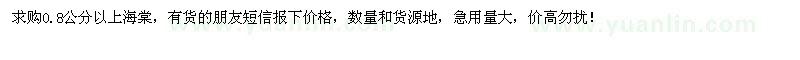求購大量0.8公分以上海棠