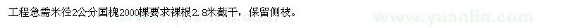求購米徑2公分國槐