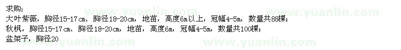 求購(gòu)大葉紫薇,秋楓,盆架子,臘腸樹,吊瓜樹