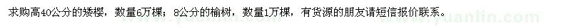求購高40公分的矮櫻,8公分的榆樹