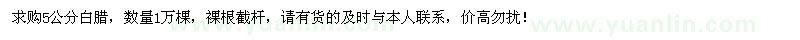 求購5公分白臘1萬棵