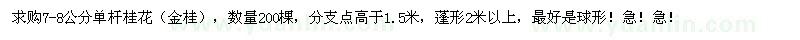 求購7-8公分單桿桂花200棵