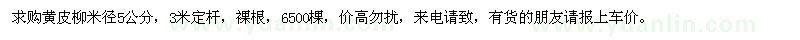求購黃皮柳米徑5公分6500棵