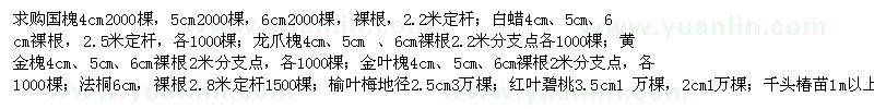 求購國槐、白蠟、龍爪槐、黃金槐等苗木
