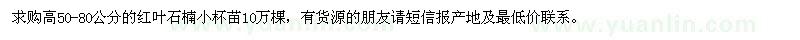 求購紅葉石楠小杯苗高50-80公分10萬棵