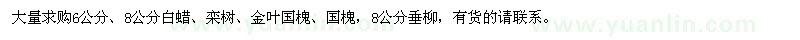求購白蠟、欒樹