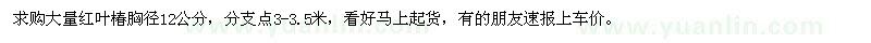求購紅葉椿胸徑12公分