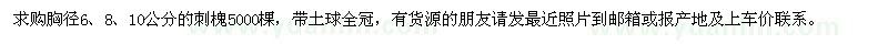 求購刺槐胸徑6、8、10公分5000棵