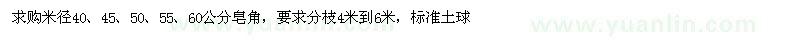 求購米徑40公分以上皂角