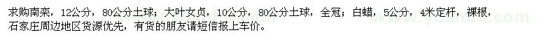 求購南欒,大葉女貞,白蠟