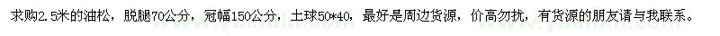 求購2.5米的油松