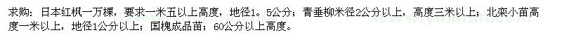 求購日本紅楓,北欒,青垂小苗