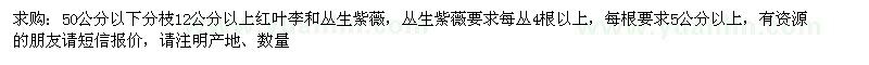 求購(gòu)12公分以上低分枝紅葉李