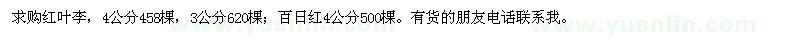 求購紅葉李,百日紅