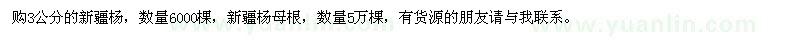 求購(gòu)新疆楊、新疆楊母根