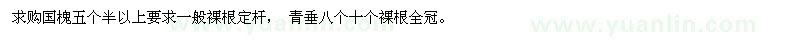 求購國槐 垂柳