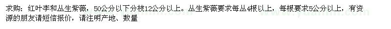 求購(gòu) 紅葉李和叢生紫薇