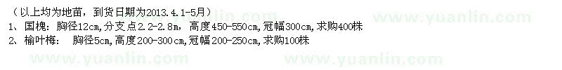 求購(gòu)國(guó)槐、榆葉梅