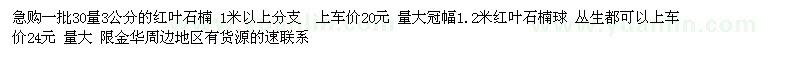 求購一批30量3公分的紅葉石楠