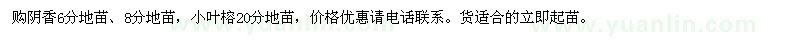 求購陰香6分地苗 小葉榕20分地苗