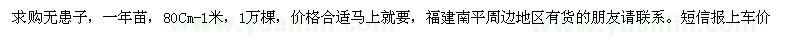 求購無患子一年苗