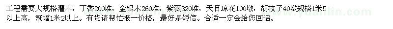 求購北京大灌木