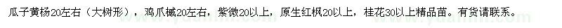 求購急黃楊樹